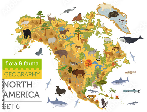 North America flora and fauna map, flat elements. Animals, birds and sea life big set. Build your geography infographics collection