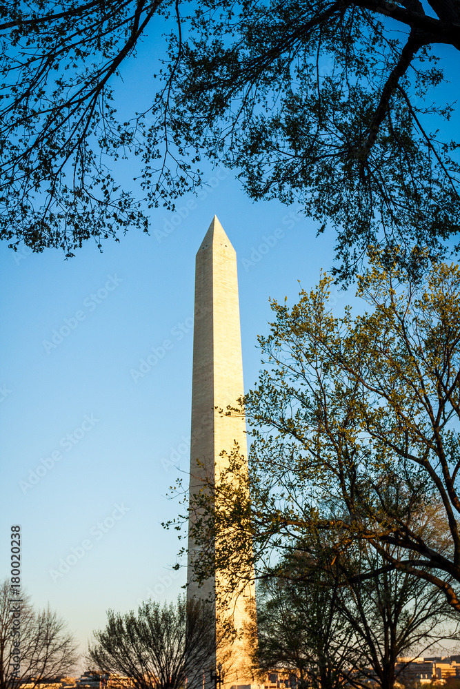 Washington Monument Through the Trees, Washington, DC