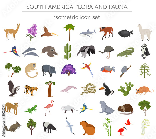 Isometric 3d South America flora and fauna elements. Animals, birds and sea life. Build your own geography infographics collection