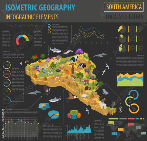 Isometric 3d South America flora and fauna map elements. Animals, birds and sea life. Build your own geography infographics collection