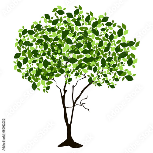 Tree isolated on white background, Vector illustration