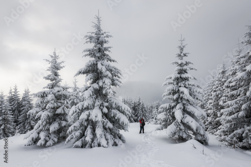 Fantastic winter landscape © Ivan Kmit