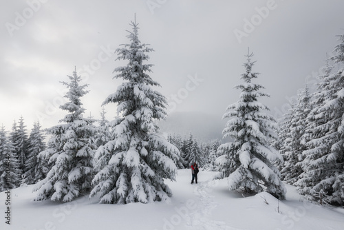 Fantastic winter landscape