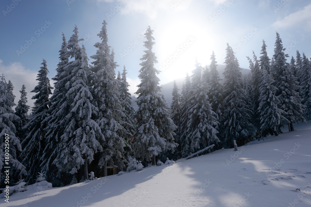 Obraz premium Fantastic winter landscape