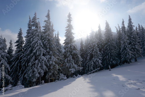 Fantastic winter landscape © Ivan Kmit