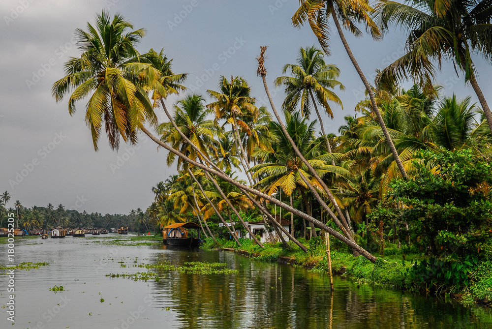 India Kumarakom Backwaters