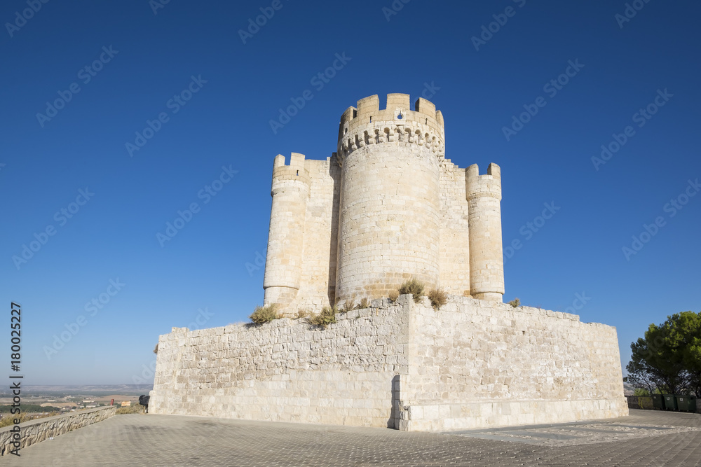 Castle of Peñafiel of Spain