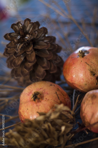 Pomegranates with cone