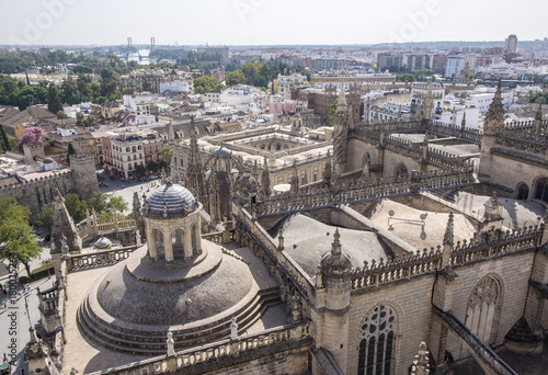 View of Seville and Its Cathedral From the Giralda