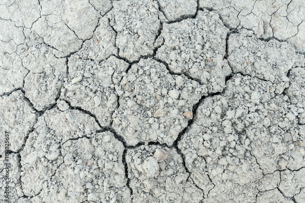 Severely dried cracked earth the concept of global drought, natural disasters, environmental problems, drought very closeup with gravel Severely dried cracked earth the concept of global drought, natural disasters, environmental problems, drought very closeup with gravel