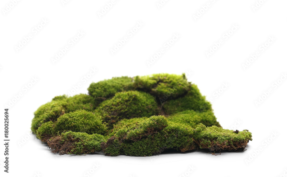 Green mossy hill isolated on white background Green mossy hill isolated on white background