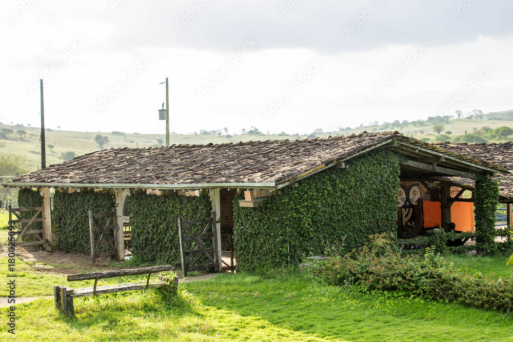 Obraz premium Fazenda