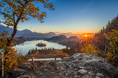 Fototapeta Naklejka Na Ścianę i Meble -  Bled, Slovenia - Beautiful panoramic skyline autumn view with hilltop bench and tree and colorful sunrise of Lake Bled and Pilgrimage Church of the Assumption of Maria