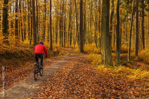 Cyclists on the forest path. Autumn in the forest. Tricity Landscape Park, Gdansk, Poland