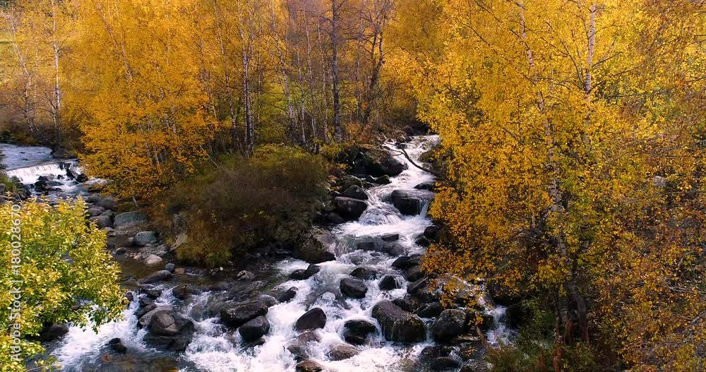 paysage d'une rivière en automne 