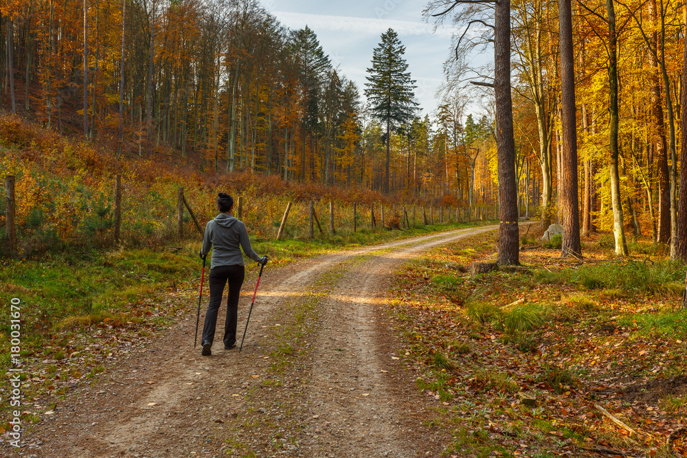 Woman walks on the forest path at sunny autumn day.  Tricity Landscape Park, Gdansk, Poland