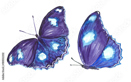 Collection watercolor of flying butterflies.