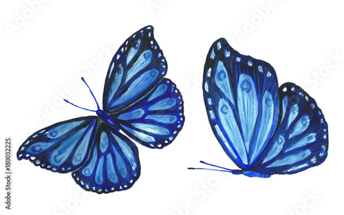 Collection watercolor of flying butterflies.
