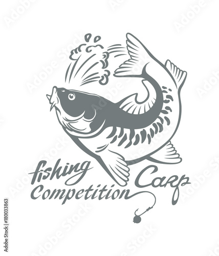 carp fish