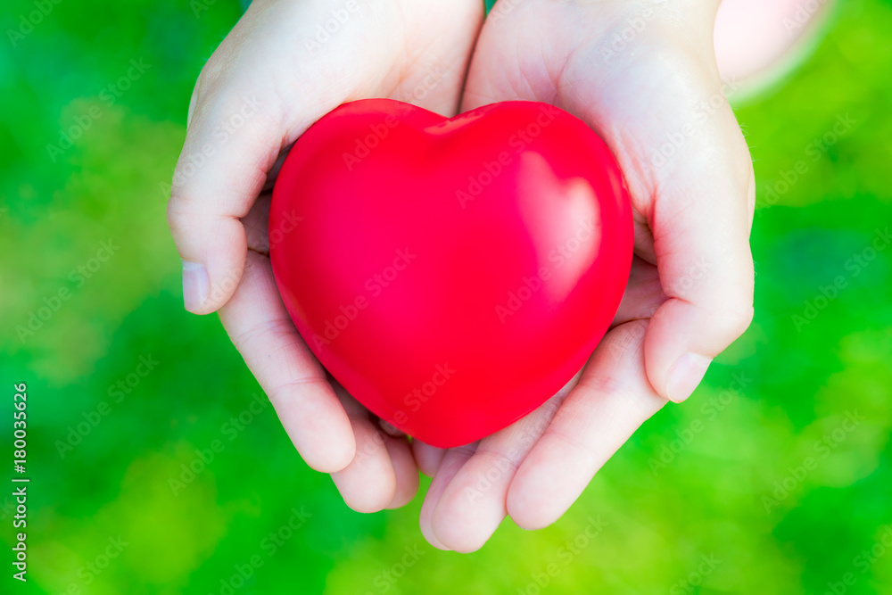 Female hands giving red heart on green background