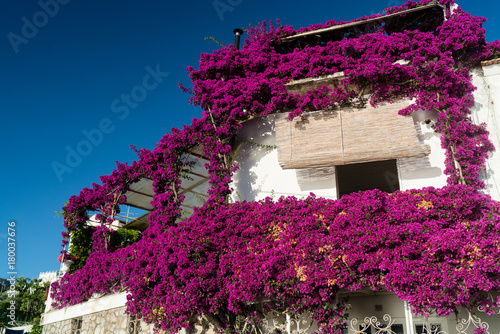 tipica casa della costiera amalfi, positano sorrento photo