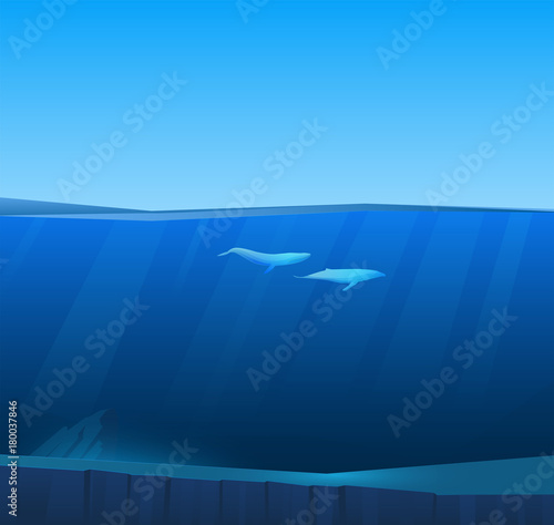 Two big whales under water in deep sea under water