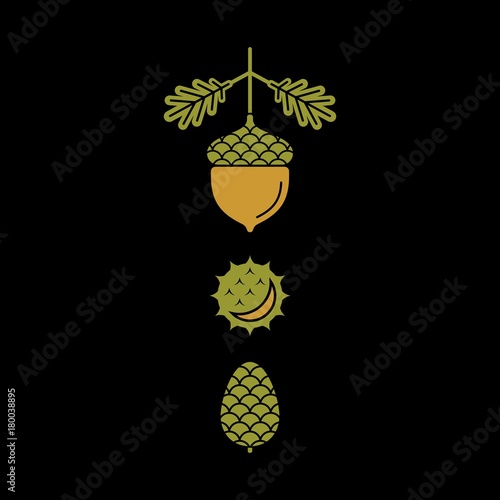 Flat vector icons of autumn elements. Flat vector icons acorn, pine cones, chestnut	