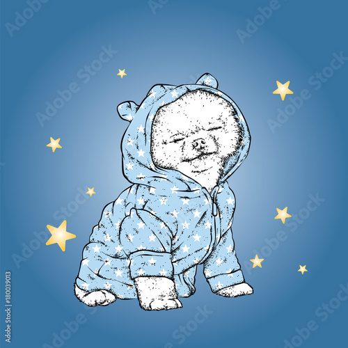 Cute pomeron spitz in pajamas. Vector illustration. Good night. A pedigreed dog in a suit. Little puppy.