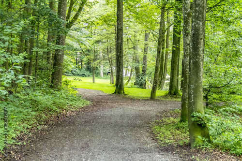 idyllic park scenery