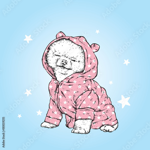 Cute pomeron spitz in pajamas. Vector illustration. Good night. A pedigreed dog in a suit. Little puppy.