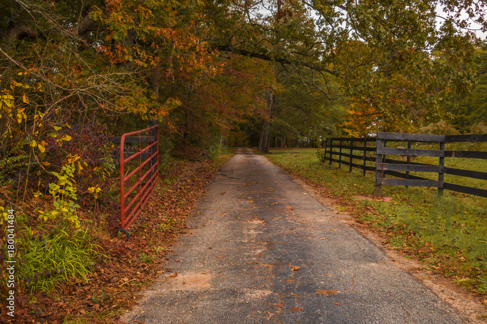 Autumn Thanksgiving Fall Path Road