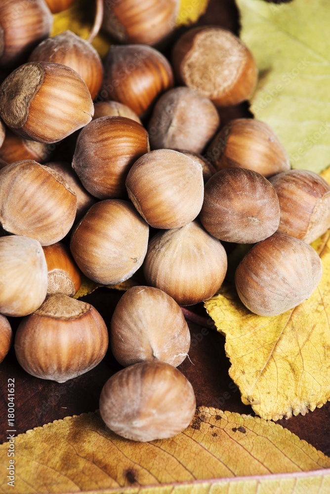 hazelnuts background hazelnuts background