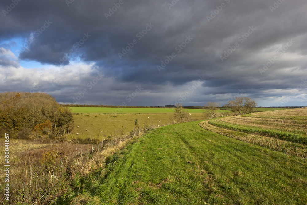 storm clouds and grass track