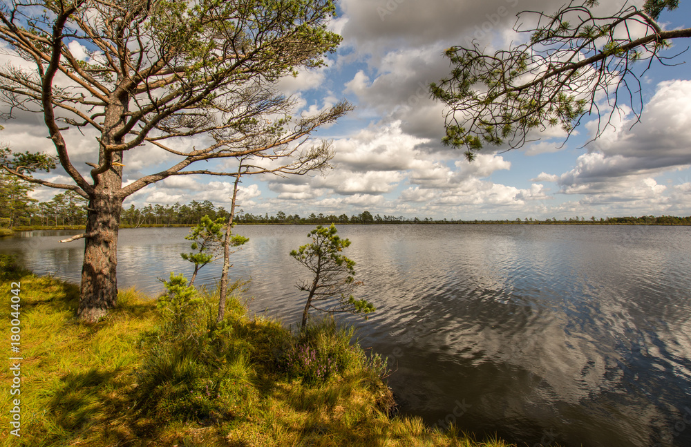 Sommer in Schweden