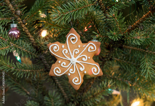 Gingerbread star on a christmas tree