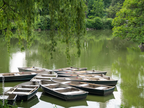 Photography Rowboats docked on a serene, still pond surrounded by lush green foliage