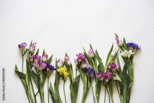 Fototapeta Naklejka Na Ścianę i Meble -  Freesias flowers on white background