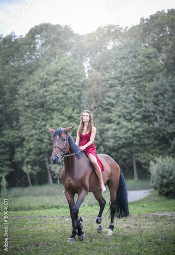 Beautiful girl riding a horse in a forest