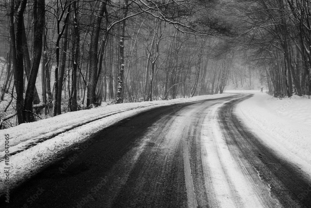 Forrest road