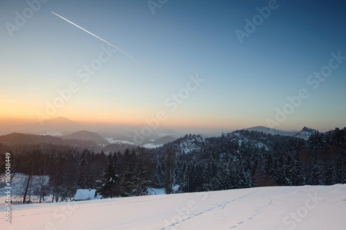 Winter panorama