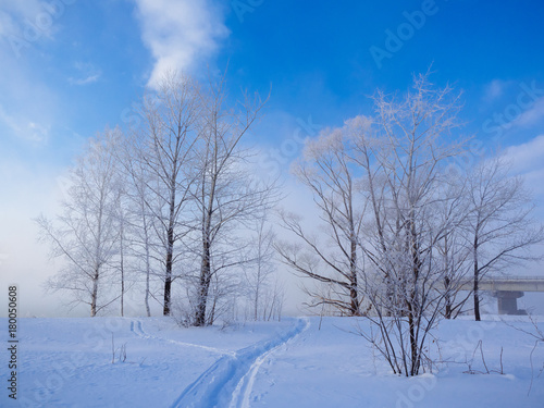 北海道の冬道 © makieni