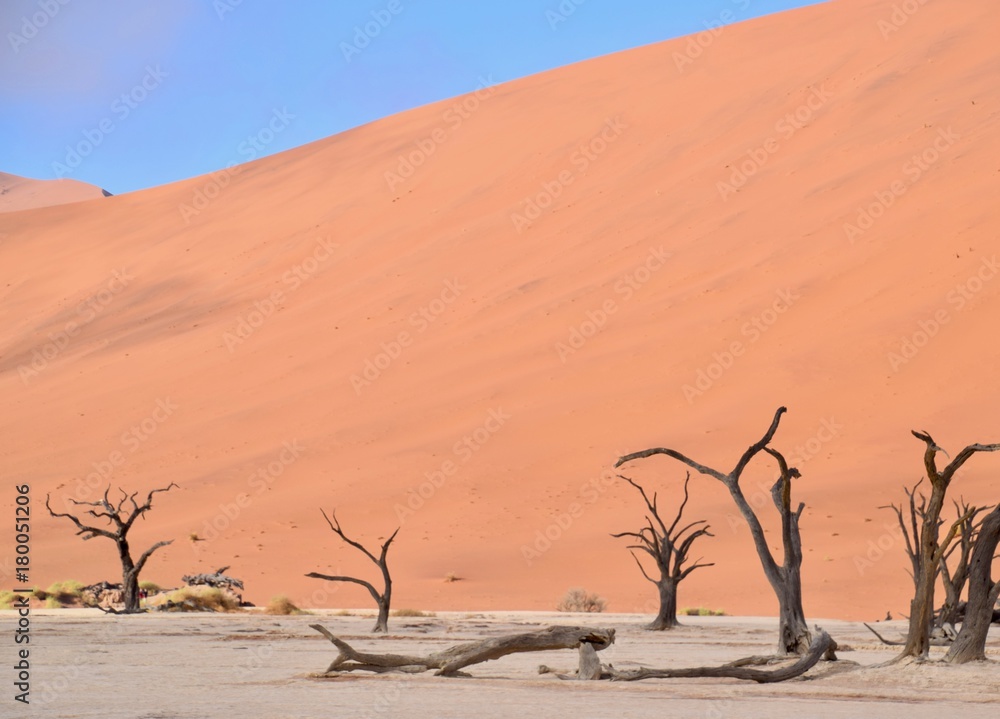 Namibia - Baum - Wüste - Fernsicht - Landschaft