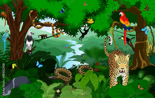 Rainforest with animals vector illustration. Vector Green Tropical Forest jungle with parrots, jaguar, boa, peccary, harpy, monkey, frog, toucan, anaconda and butterflies.