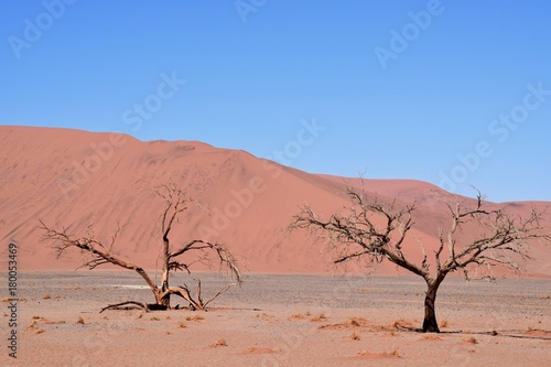 Landschaft Namibia -Wüste