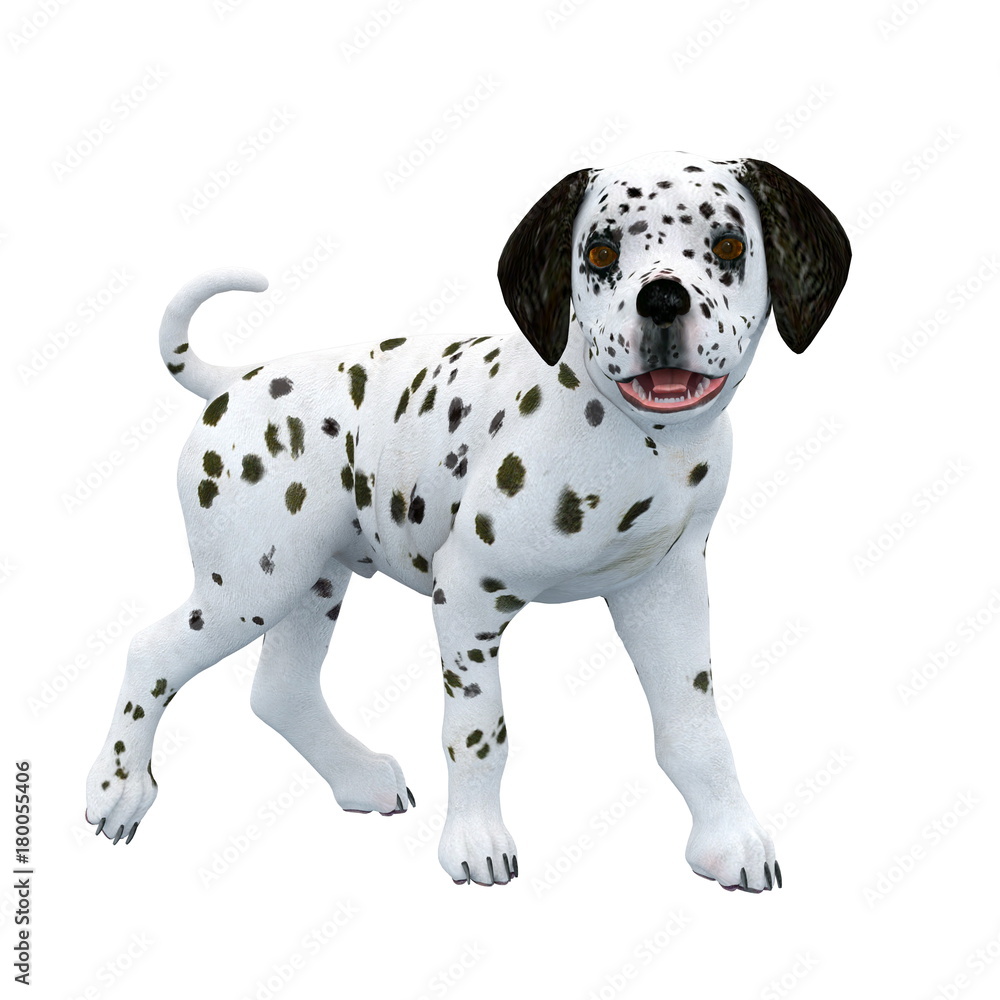 ダルメシアン犬 Stock イラスト Adobe Stock