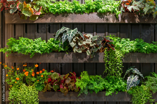 Artificial garden green small plants and flower in flowerpots on a wooden shelf decoration. The beautiful garden with ferns and flowers.