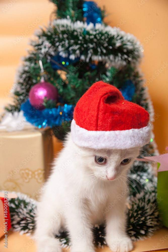 little cute white kitten in a red cap of Santa Claus for Christmas at a Christmas tree with gifts in colorful boxes little cute white kitten in a red cap of Santa Claus for Christmas at a Christmas tree with gifts in colorful boxes