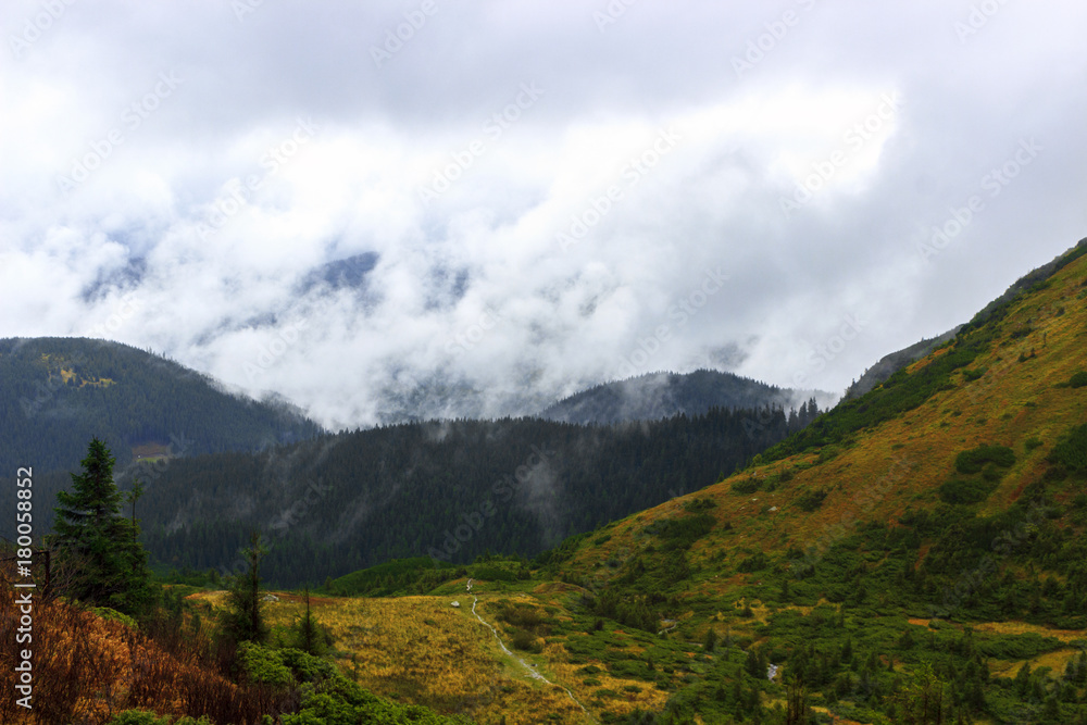 Fototapeta premium Dolina przed górami, w których silna mgła