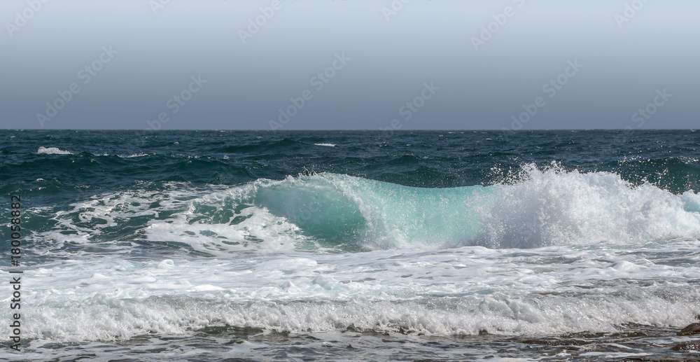 the wave on the se the wave on the se