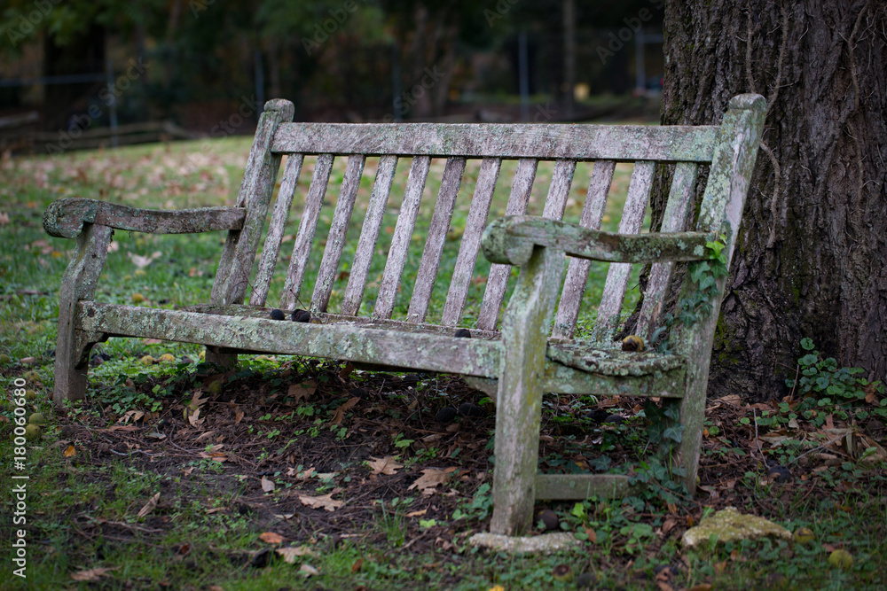 primitive bench primitive bench
